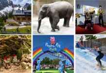 24 Ausflugstipps für unvergessliche Ferien zu Hause news-29072024-012955