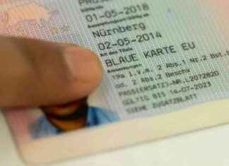 Fachkräfte: Tausende Visa für Arbeit in Deutschland vergeben news-29072024-013816