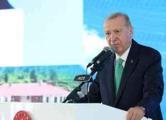 Erdogan droht Israel mit militärischer Intervention: Parallelen zu Bergkarabach und Libyen news-29072024-014127
