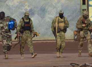 Soldaten und russische Söldner in Mali: Dutzende Tote bei Angriff news-29072024-014741