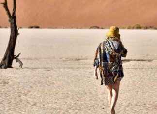 Visa-Gebühren in Namibia: Gerechtigkeit und Selbstschaden news-29072024-015736