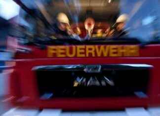 Brand in Wohnung durch vergessenen Herd: 18-Jähriger verursacht Feuer news-29072024-020638