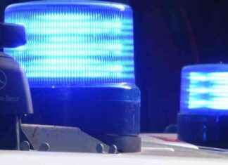 Männer bei Streit in Berlin schwer verletzt: Was passiert ist? news-29072024-021453