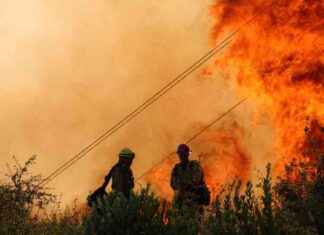 Umweltkatastrophe in Kalifornien: Waldbrand breitet sich aus news-29072024-022007