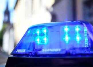 Drei Tote nach Schüssen in der Schweiz: Polizei findet Leichen news-29072024-022620