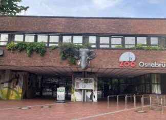 Osnabrücker Zoo geräumt: Strafen für Männer mit Spielzeugpistole? news-29072024-022642