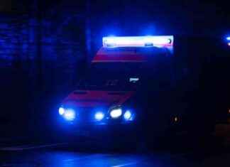 Schwere Verletzungen bei eskaliertem Streit in Berliner Nähe Hauptbahnhof news-29072024-022826