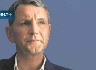 Björn Höcke: Schlüsselfigur der AfD – eine Nahaufnahme news-29072024-023201