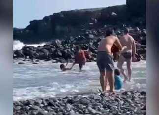 Mutmaßlicher Taschendieb in Wien von Touristen verprügelt: Ein Fall von Selbstjustiz? news-29072024-023439