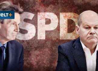 Rolf Mützenich: Standhaft und unbeeinflussbar – WELT news-29072024-024422