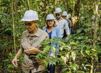 (S+) Svenja Schulze: Ministerin im Gedönsverdacht news-29072024-024731