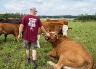 Hofbesitzer gesucht: Tipps für die Hofsuche und -kauf news-29072024-025822