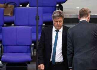 FDP und Robert Habeck: Christian Lindner kritisiert Grünen im Sommerhinblick news-29072024-025916