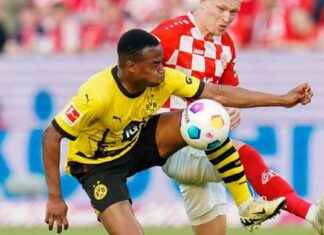 Kritik an BVB: Berater von Moukoko enttäuscht news-29072024-030646