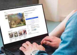 Wollnashorn-Skelett: Seltenes Museumsstück jetzt online verfügbar news-29072024-030738