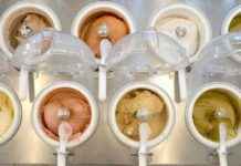 Der beste Guide für erfrischende Sommergetränke news-29072024-031359