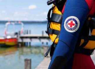 Tragisches Unglück: Mann (49) ertrinkt im Karlsfelder See in München news-29072024-031958