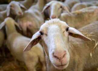 Thüringen News: Tagesaktuelle Nachrichten im Überblick news-05082024-171246