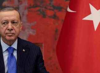 Erdogan kritisiert soziale Medien als digitalen Faschismus news-05082024-171419