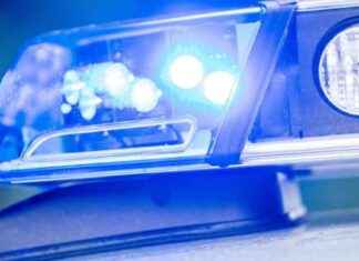 Unfall in der Stadt: Fußgänger stirbt nach Zusammenstoß news-05082024-171519