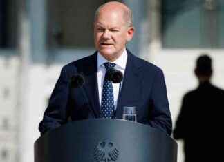 SPD kämpft vor der Bundestagswahl: Verzweiflung an Scholz news-06082024-102450