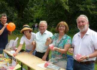 Familien-Spieletag am Mainbogen: Spaß und Unterhaltung für die ganze Familie news-06082024-102729