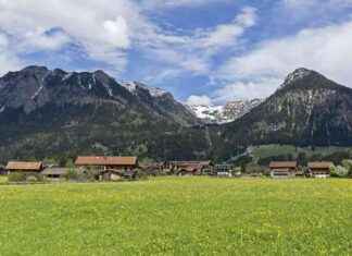 Gleitschirmpilot stürzt im Oberallgäu ab: Fluggerät klappt halbseitig ein news-06082024-103014