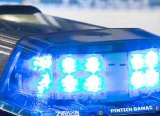 Tragischer Badeunfall in Freiburg: Junger Mann ertrinkt news-06082024-223720