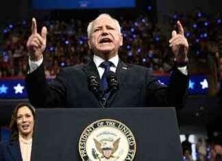 Tim Walz: Kamalas Vize ist ein Taylor-Swift-Fan und liebt Katzenmemes news-08082024-085820