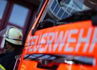 Sicherheit bei Lithium-Batterien: Eingreifen eines Mitarbeiters bei Bränden news-12082024-015847