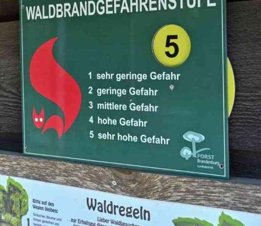 Waldbrandgefahr in Brandenburg: Feuerbedrohung steigt news-12082024-112655