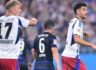 HSV Spieler im Fokus: Elfadli und Karabec beeindrucken mit schnellen Toren news-12082024-172907