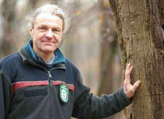 Pilz-Saison in Haltern: Preise für Pilze günstiger dieses Jahr news-13082024-113348