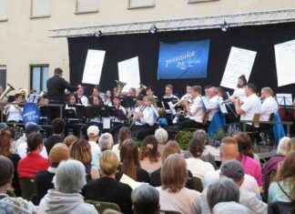 Serenade der promusica: Ein musikalischer Sommerabend news-13082024-173907