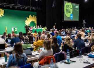 Angriff auf Wahlhelfer der Grünen in Brandenburg: Boden gestoßen und beraubt news-13082024-234500