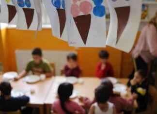 Milliarden für Kitas: Das Kita-Qualitätsgesetz der Bundesregierung news-14082024-094007