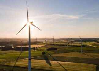 Die Ästhetik von Windrädern: Warum ich die Kritik nicht teile news-14082024-153534