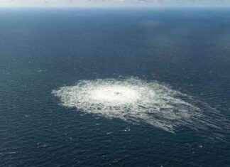 Ukrainischer Tatverdächtiger nach Nord-Stream-Anschlägen untergetaucht news-14082024-154258