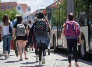 Kostenloses HVV-Schülerticket bestellen in Hamburg news-15082024-113934