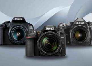 Die besten Spiegelreflexkameras für Einsteiger: Test und Vergleich news-16082024-053511