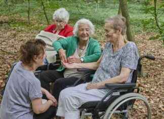 Waldbaden in Hamburg: Naturheilkraft und Glücksmomente news-16082024-054649