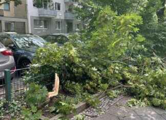 Sturmschäden in Berlin-Mitte: Zunahme durch gefährliche Gewitter news-16082024-114345