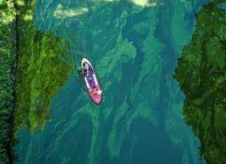 Vorsicht vor Algen: Gefährliche Seen in der Nähe von Hamburg news-16082024-114757