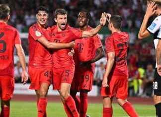 DFB-Pokal: FC Bayern siegt gegen SSV Ulm dank Müllers Doppelschlag. news-16082024-235318