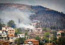 Waldbrand in Izmir: Tausende Einsatzkräfte kämpfen gegen Feuer news-17082024-055601