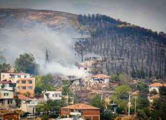 Waldbrand in Izmir: Tausende Einsatzkräfte kämpfen gegen Feuer news-17082024-055601