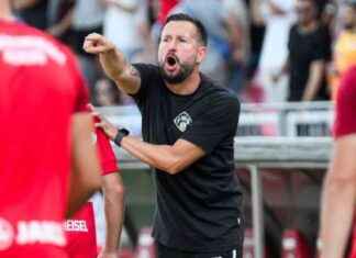 Würzburger Kickers: Erfolgreiche Zukunft in Sicht news-17082024-055634