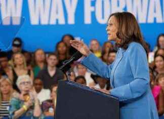 Kamala Harris‘ Wirtschaftspolitik zur US-Wahl: Strategien und Ziele news-18082024-104441