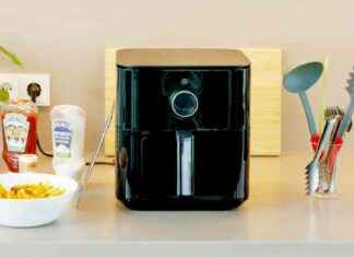 Vergleich von Heißluftfritteusen: Die besten Airfryer von Ninja, Tefal, Philips & Co. news-18082024-104524