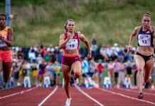 Entdecken Sie Thüringen: Aktuelle Impressionen in Bildern news-18082024-105003